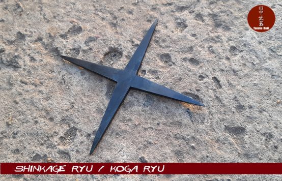 Shuriken 105