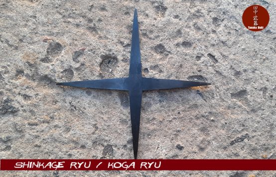 Shuriken 105 - Imagen 2